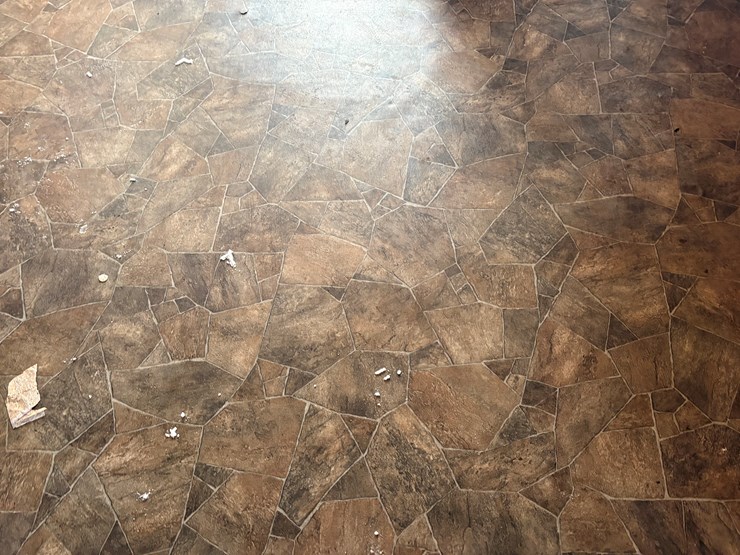 #1240-•-10'-x-22'-cabin-on-skids-(cornell,-wi)-image-23