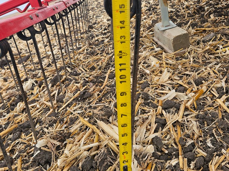 sunflower-1435-23-image-20