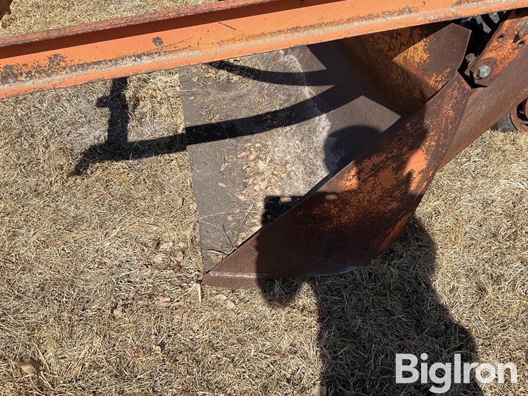 international-m-image-10