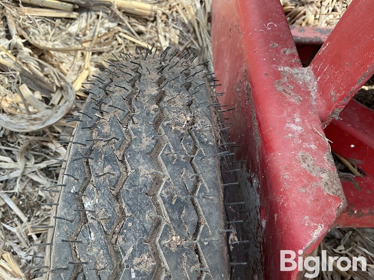 international-56-image-20