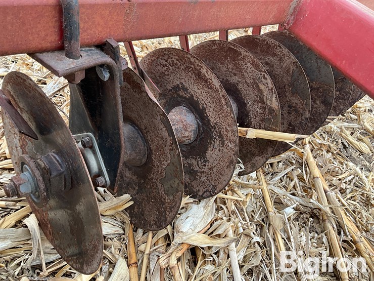 international-490-image-19