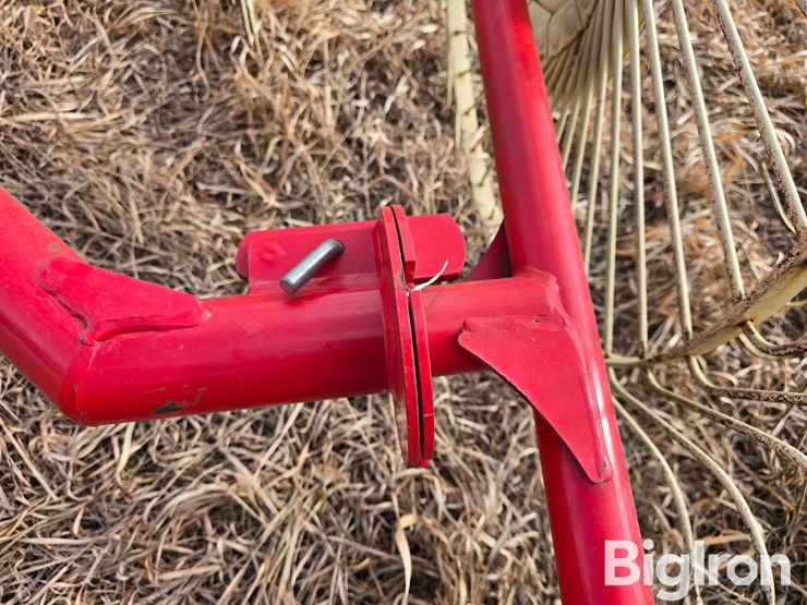 2022-enorossi-rp5-image-9