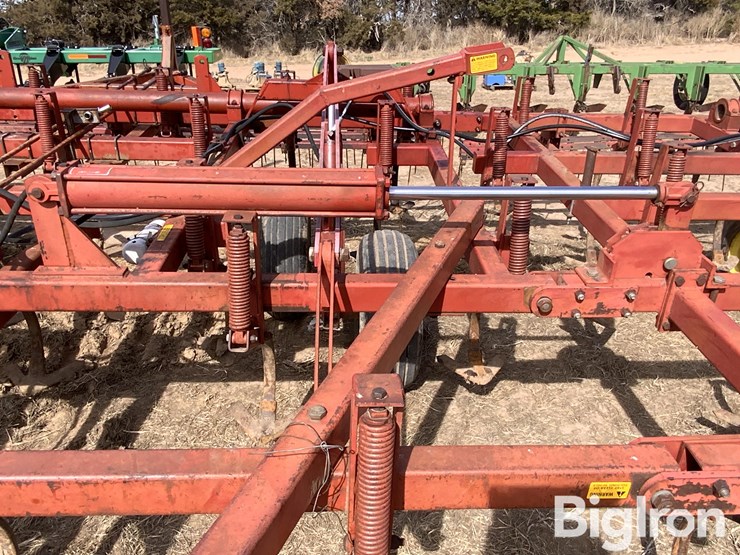 sunflower-5431-image-16