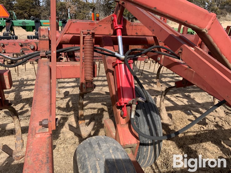 sunflower-5431-image-14