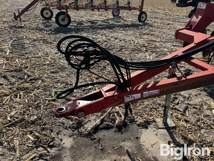 sunflower-1433-image-9