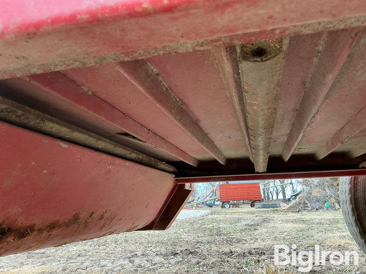 kelly-ryan-5x12-image-14