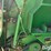 john-deere-567-image-15