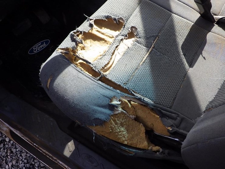 2004-ford-f150-image-20