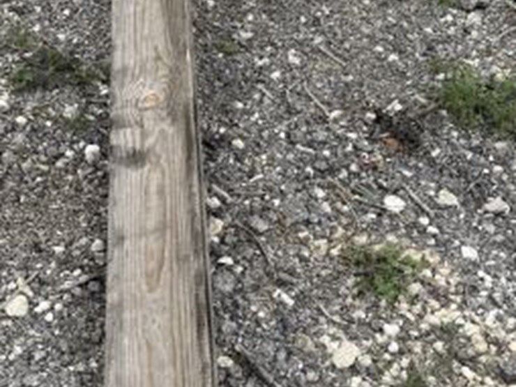 #300-•-lumber-bundle---up-to-15',-8',-12',-16',-19'-&-12'-image-4