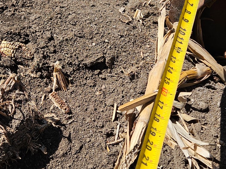 buffalo-4600-image-12