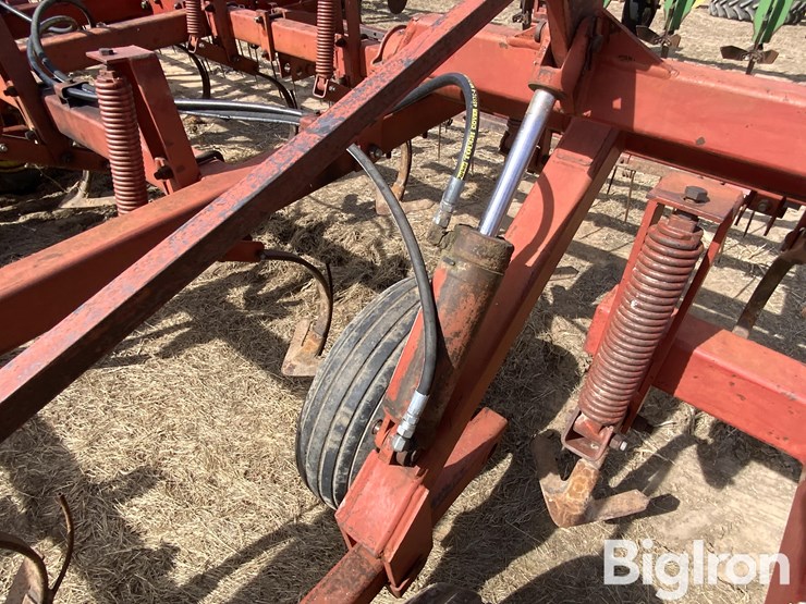 sunflower-5431-image-12