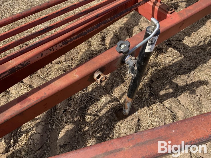 sunflower-5431-image-10