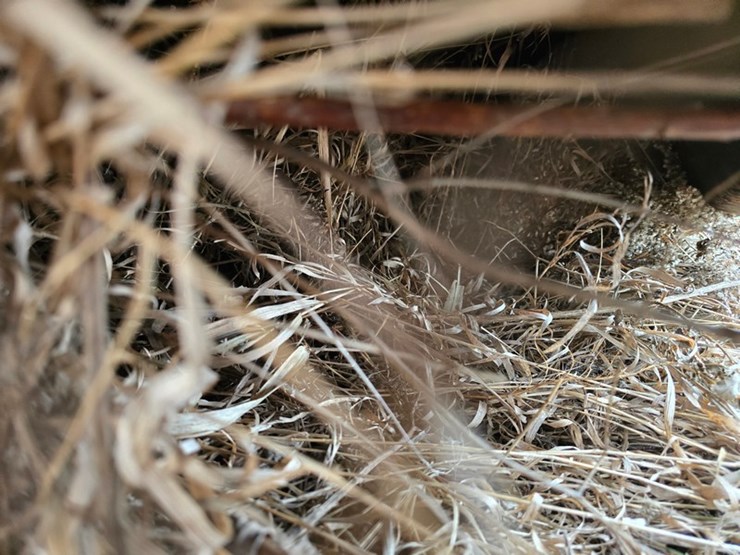 brillion-fsb1806-1-image-3