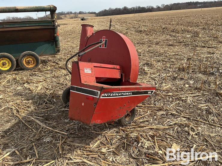 international-56-image-5