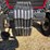 case-ih-7110-image-2