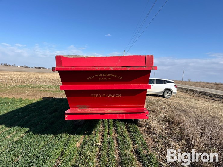 kelly-ryan-5x14-image-6