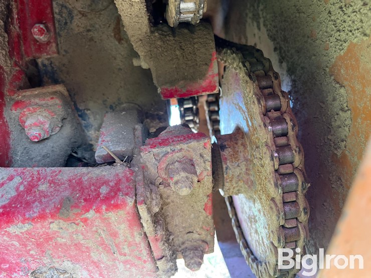 kelly-ryan-5x14-image-13