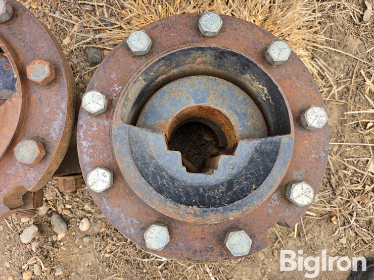 international-18-image-17