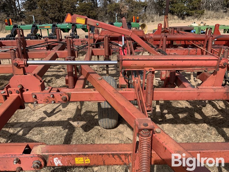 sunflower-5431-image-17