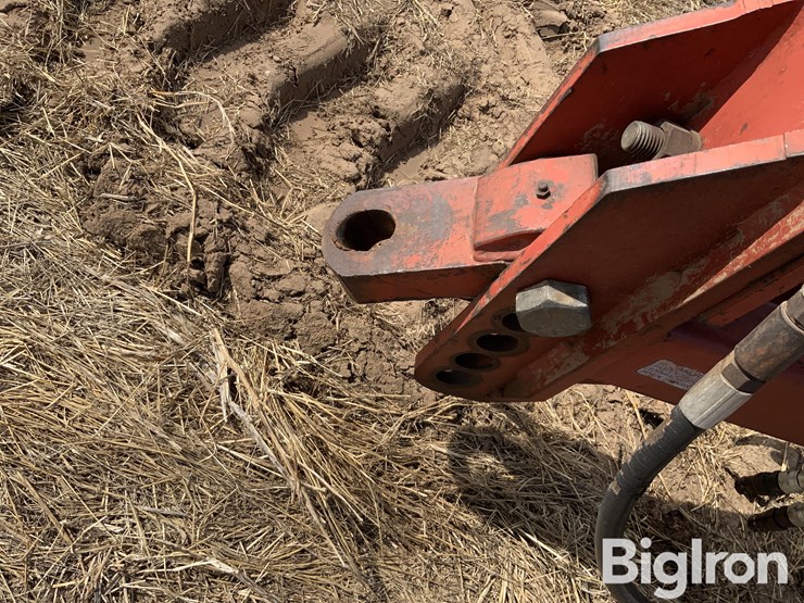 sunflower-5431-image-9