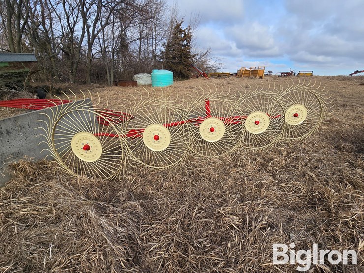 2022-enorossi-rp5-image-6