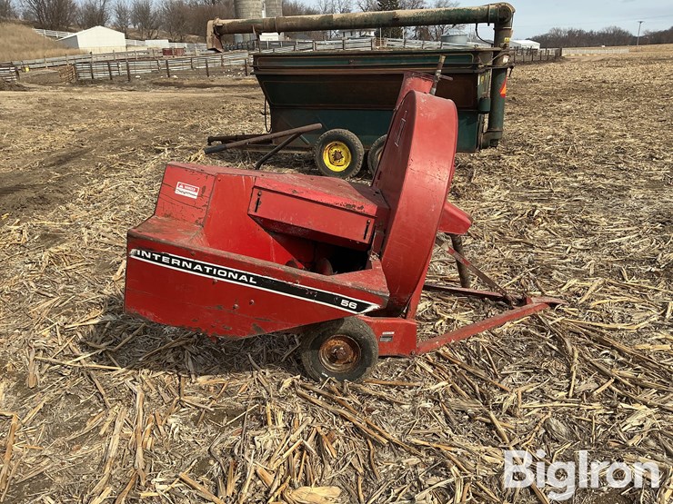 international-56-image-4