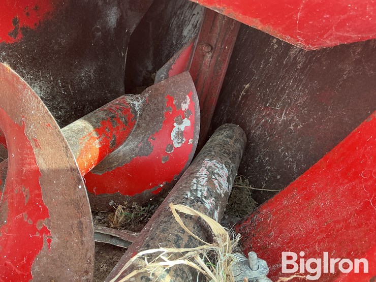 international-56-image-17