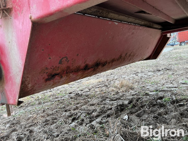 kelly-ryan-5x12-image-13