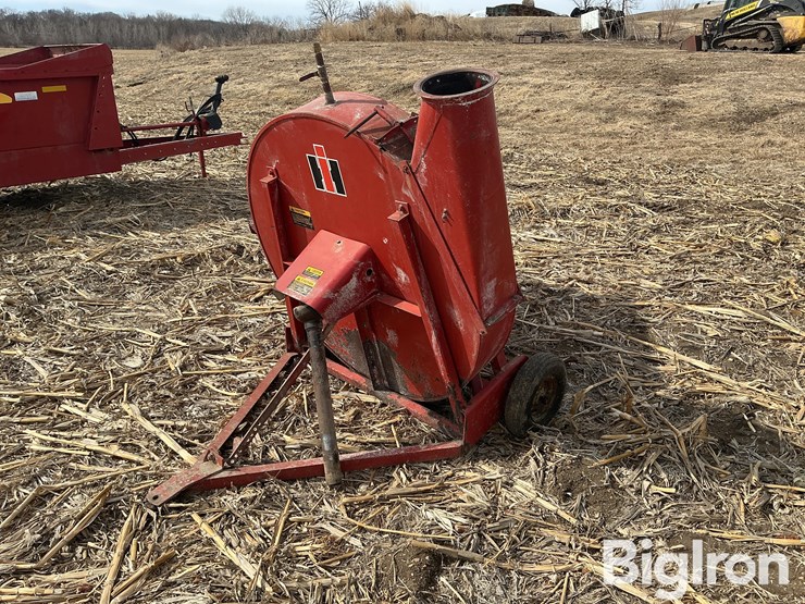 international-56-image-1