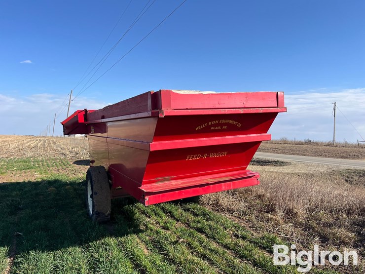 kelly-ryan-5x14-image-7