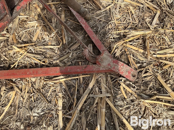 international-56-image-9