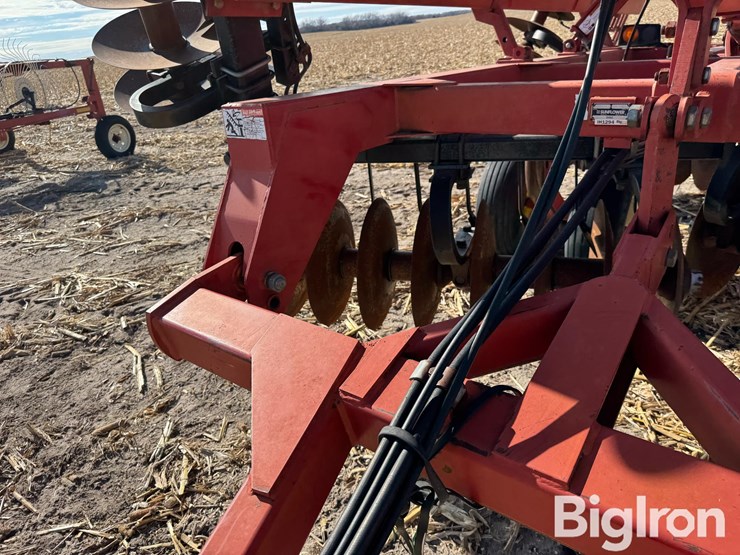 sunflower-1433-image-14