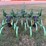 john-deere-van-brunt-cca-field-cultivator-image-6