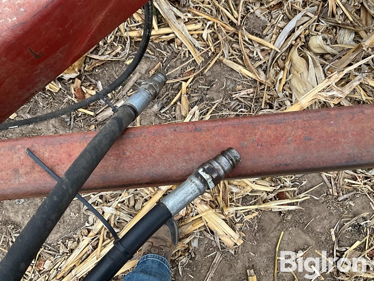 international-490-image-10