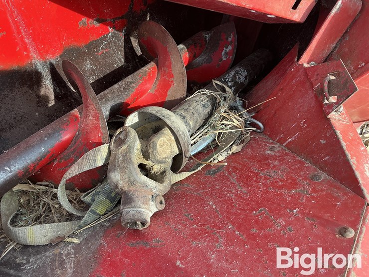 international-56-image-16