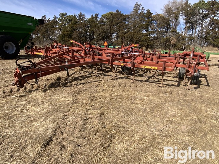 sunflower-5431-image-1