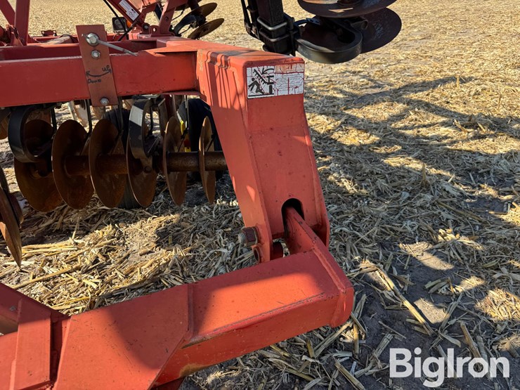 sunflower-1433-image-15