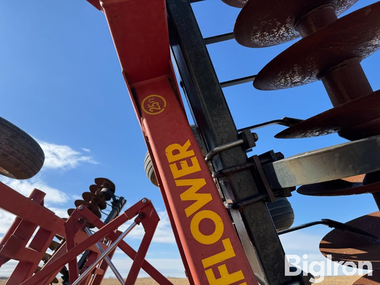 sunflower-1433-image-20