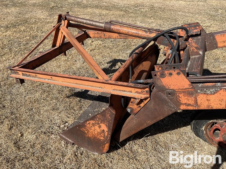 international-m-image-9