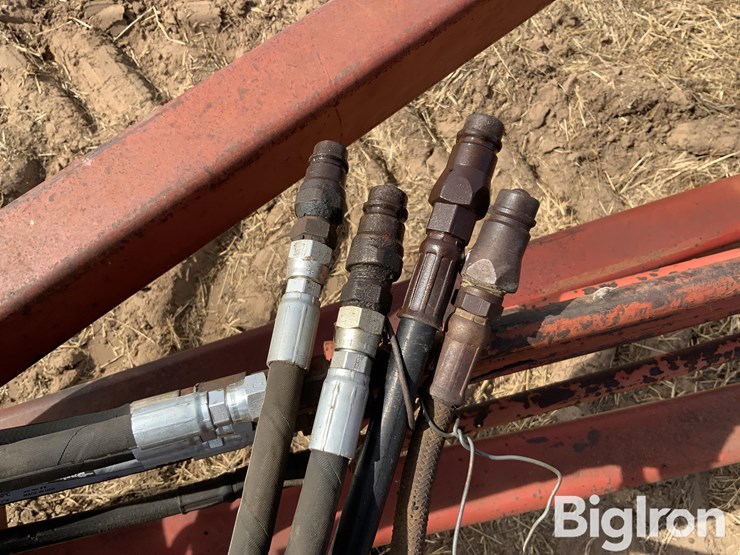 sunflower-5431-image-11