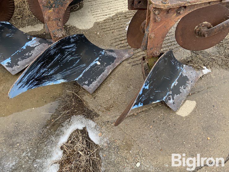 international-411-image-9