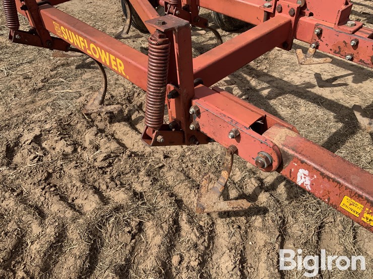 sunflower-5431-image-18