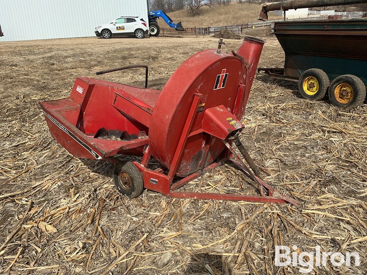 international-56-image-3