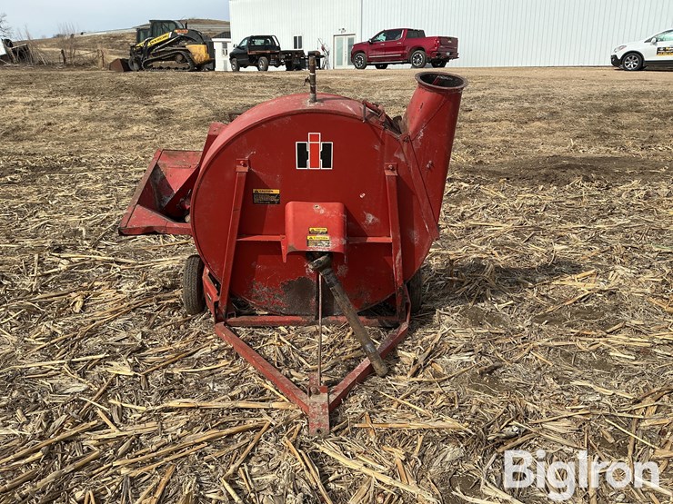 international-56-image-2