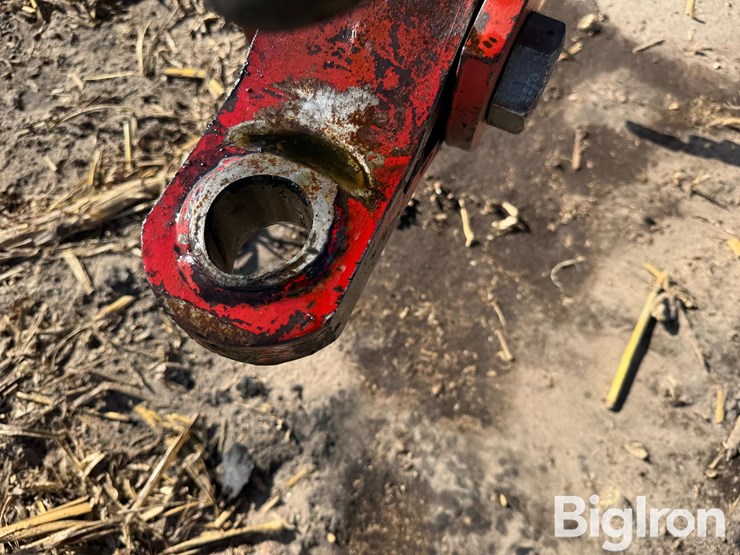 sunflower-1433-image-10