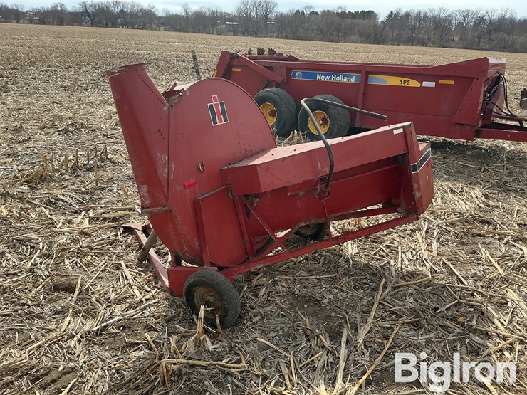 international-56-image-7