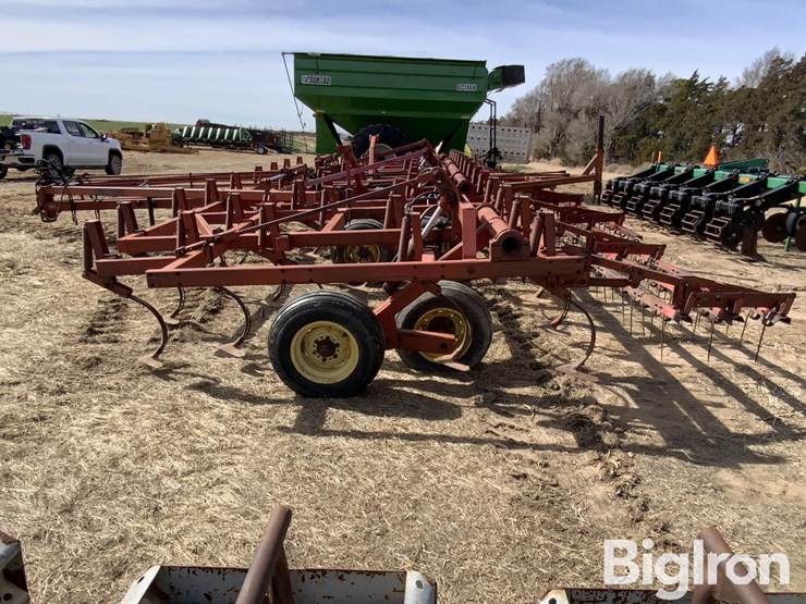 sunflower-5431-image-8