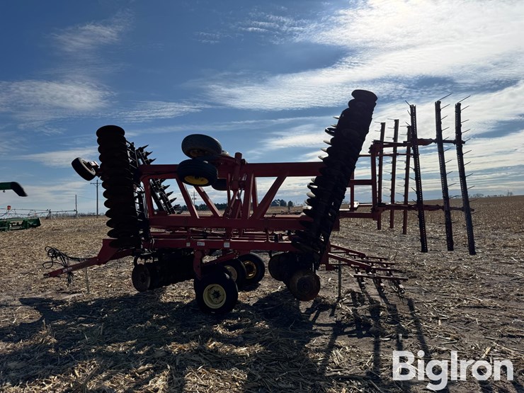 sunflower-1433-image-4