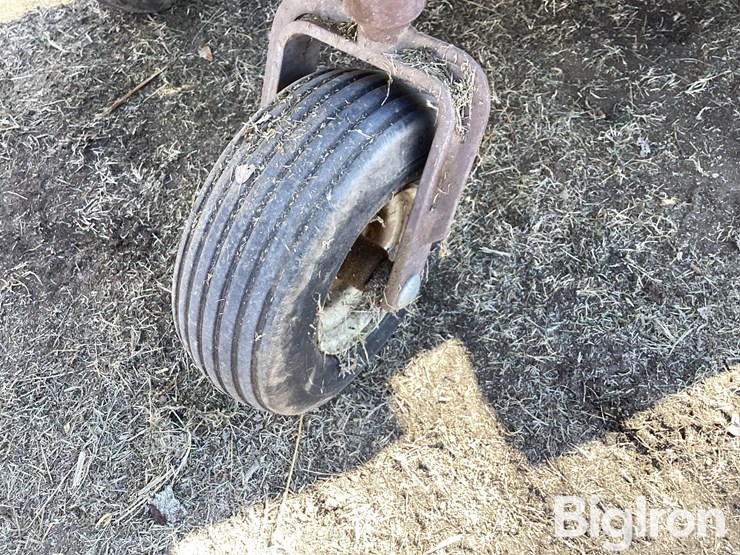 grasshopper-616-image-20