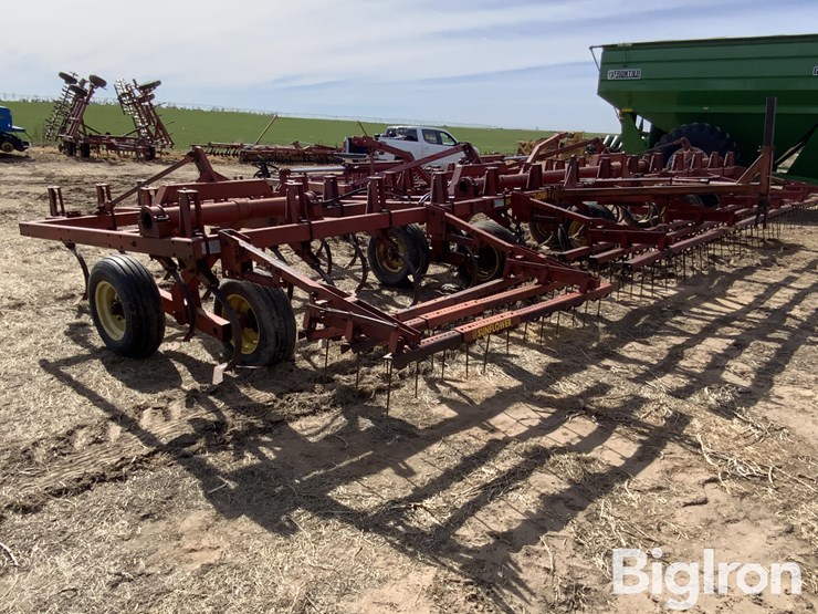 sunflower-5431-image-7